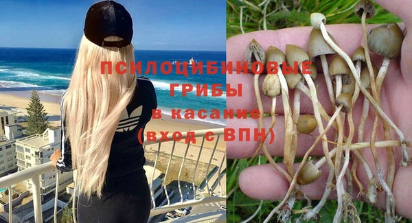 бутират Богородицк