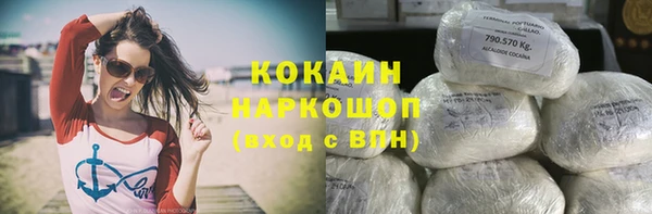 молекула духа Богородск