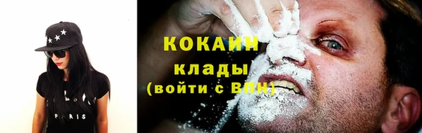 молекула духа Богородск