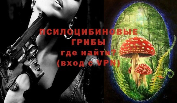 бутират Богородицк