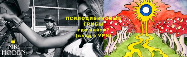 бутират Богородицк