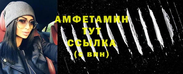 молекула духа Богородск