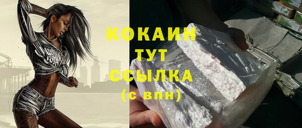молекула духа Богородск
