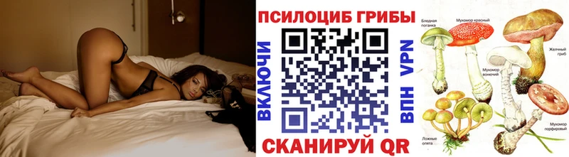 Галлюциногенные грибы Magic Shrooms  Купить закладки  Кирово-Чепецк 